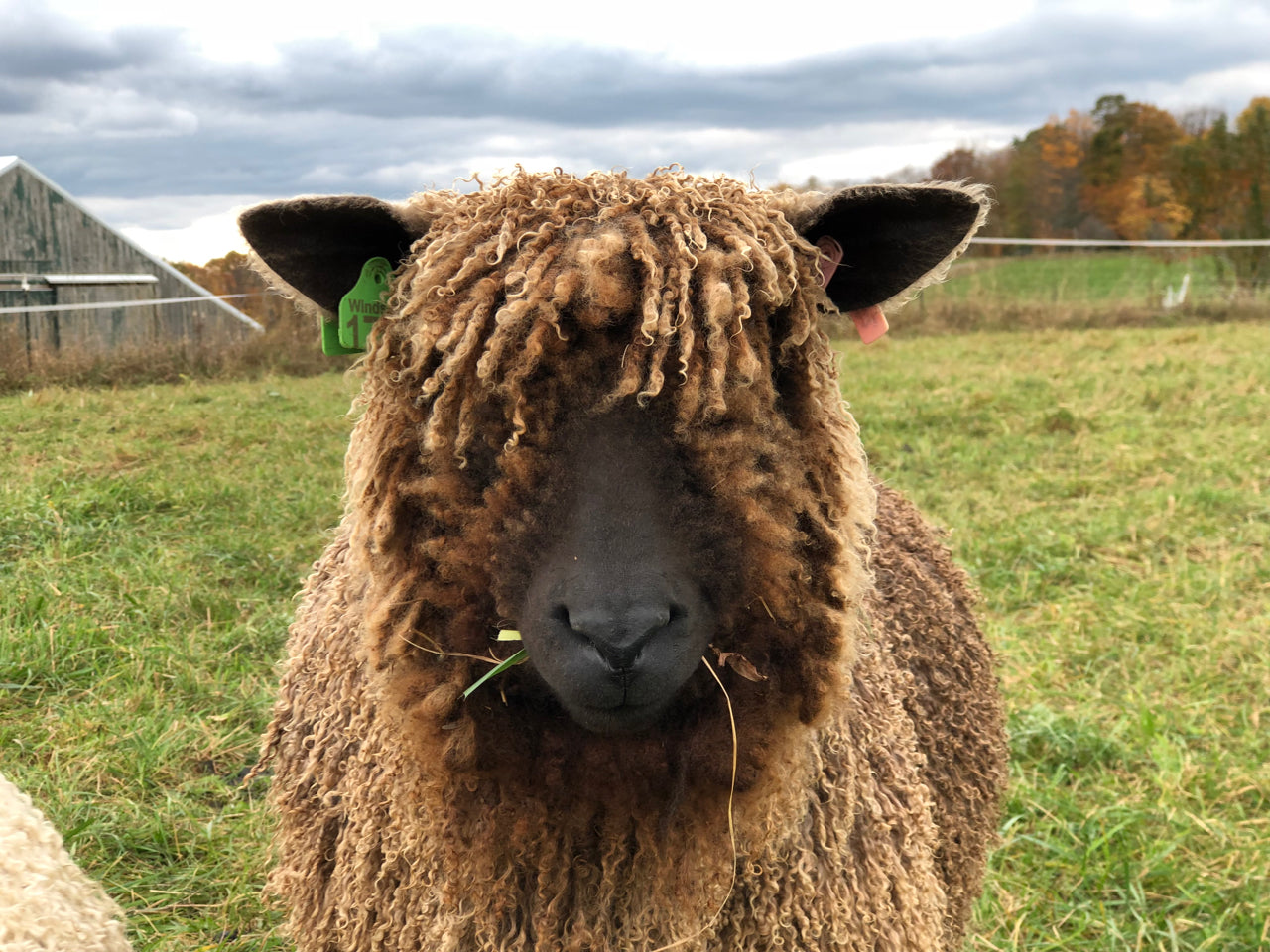 Welcome to our new website!