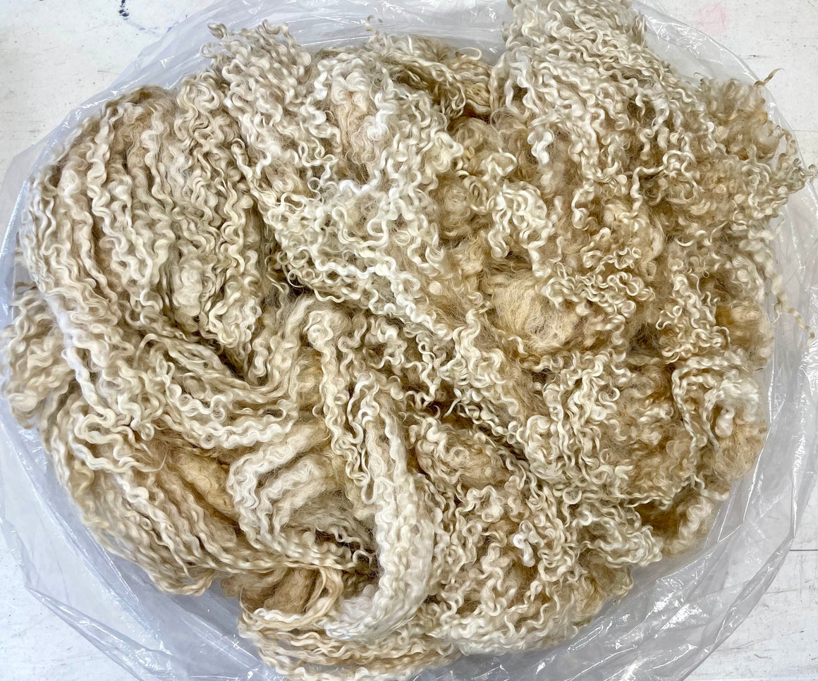 White Wensleydale Ewe Raw Fleece - Whitney -1941