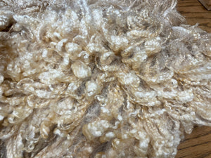 White Blue-faced Leicester X Wensleydale Lamb Raw Fleece 2253