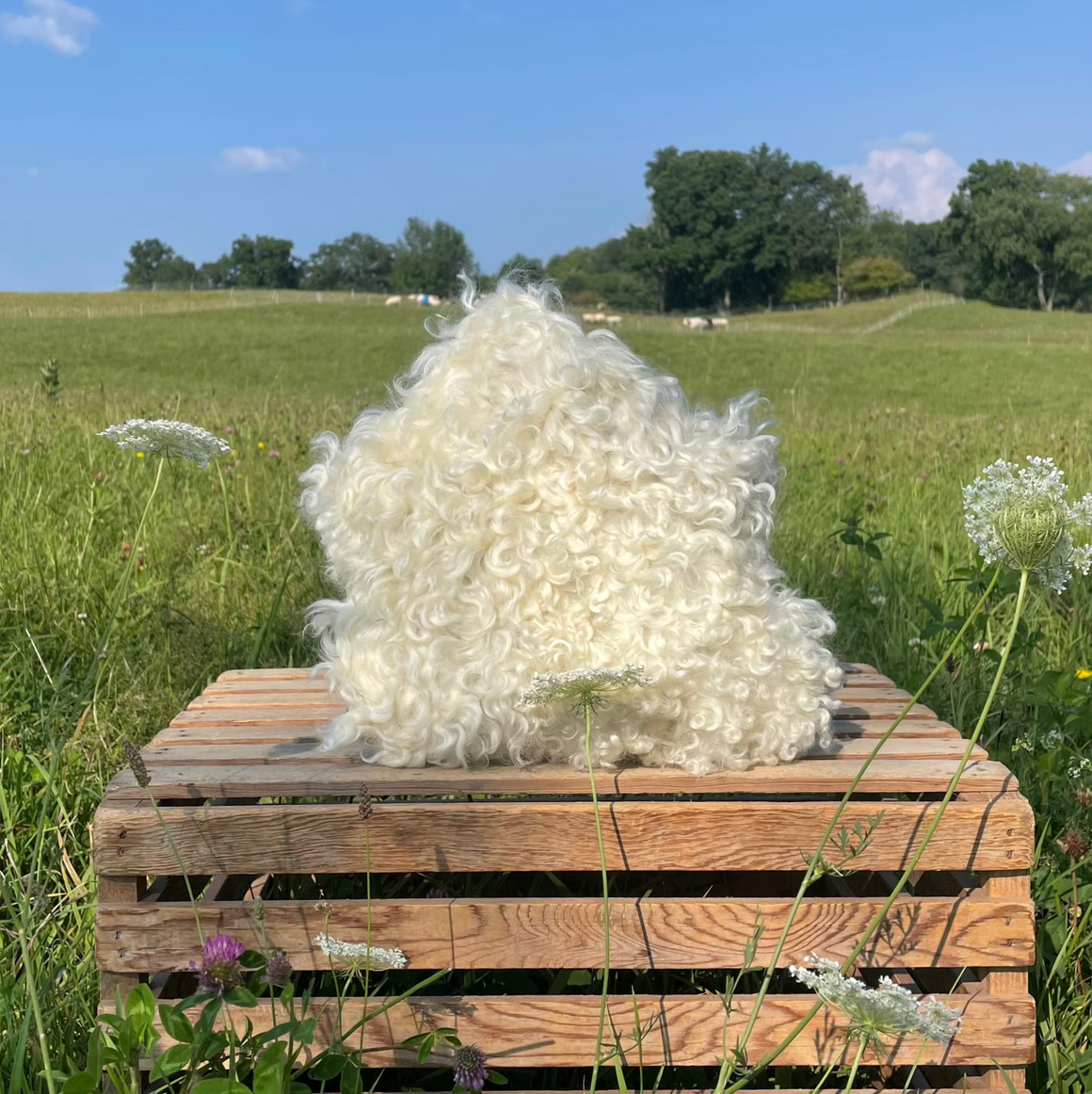 White Sheepskin Cushion