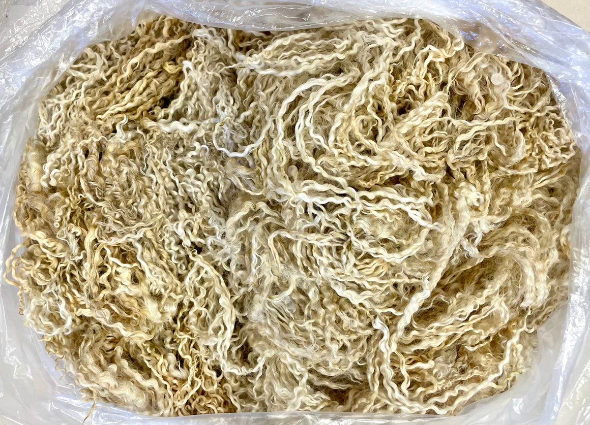 White Wensleydale Lamb Raw Fleece #2538