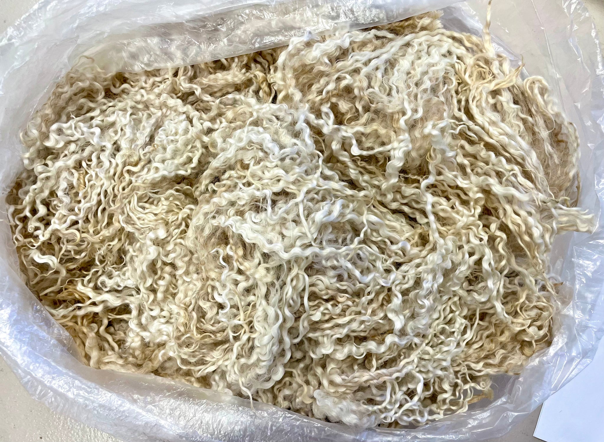 White Wensleydale Lamb Raw Fleece #2519