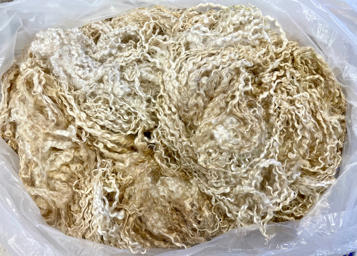 White Wensleydale Lamb Raw Fleece #2548