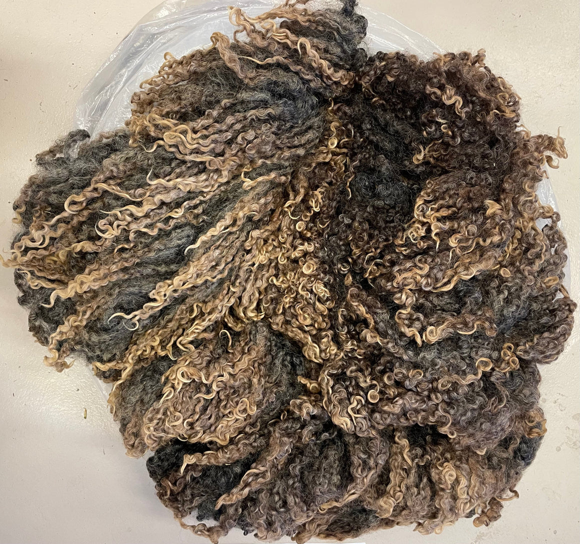 Grey Wensleydale Ewe Raw Fleece 2128